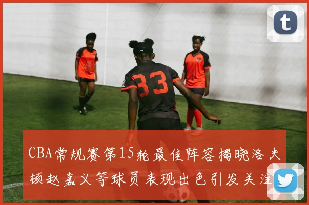 CBA常规赛第15轮最佳阵容揭晓洛夫顿赵嘉义等球员表现出色引发关注