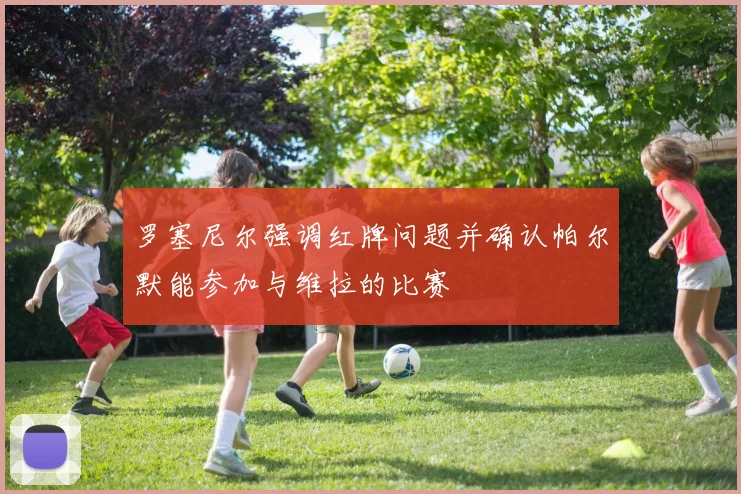 罗塞尼尔强调红牌问题并确认帕尔默能参加与维拉的比赛