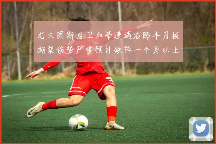 尤文图斯后卫加蒂遭遇右膝半月板撕裂伤势严重预计缺阵一个月以上