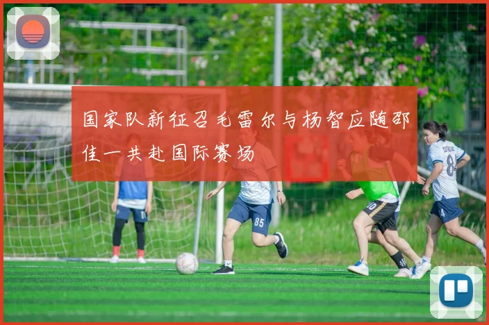 国家队新征召毛雷尔与杨智应随邵佳一共赴国际赛场