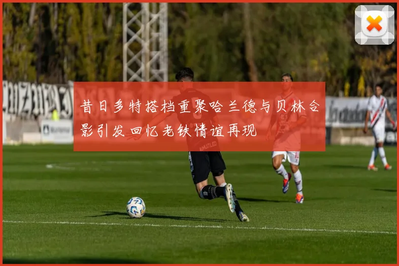 昔日多特搭档重聚哈兰德与贝林合影引发回忆老铁情谊再现