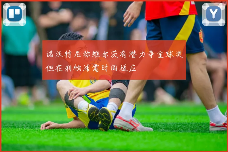 诺沃特尼称维尔茨有潜力争金球奖但在利物浦需时间适应