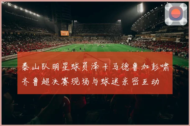 泰山队明星球员泽卡马德鲁加彭啸齐鲁超决赛现场与球迷亲密互动